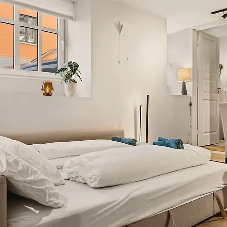 New! Modern And Comfy City Apt! Apartment *