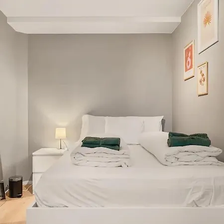 New! Modern And Comfy City Apt! Apartment